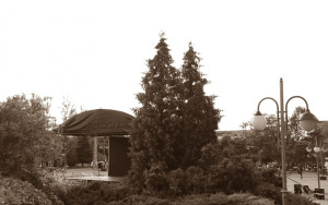 Kino Plenerowe 10 czerwca (3)